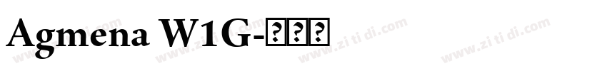 Agmena W1G字体转换